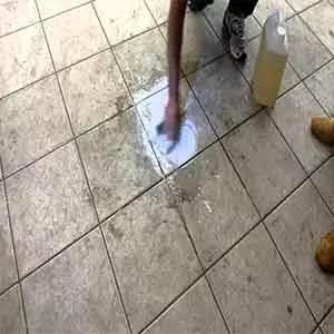 limpa caixa de água Lavagem de Urso de Pelúcia em Gavião Peixoto