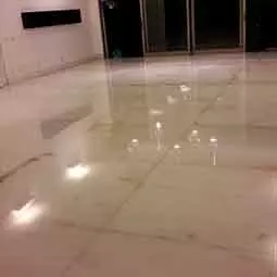 limpadoras sofá Lavagem de Urso de Pelúcia em Gavião Peixoto